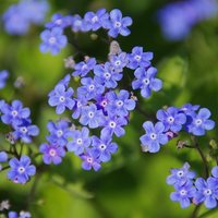 Äitien virkistämö Äitien virkistämö