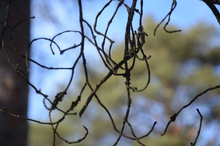 Oulujoen seurakunnan sururyhmä Oulujoen seurakunnan sururyhmä