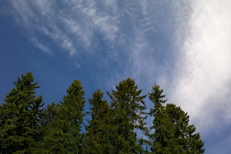 Keväinen perhepyhäkoulu Keväinen perhepyhäkoulu