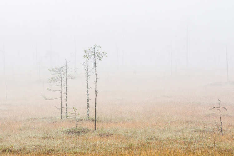 Juha Kinnusen valokuvia Karjasillan kirkossa Juha Kinnusen valokuvia Karjasillan kirkossa