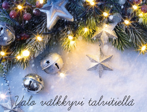 Valo välkkyvi talvitiellä, Joulukonsertti Valo välkkyvi talvitiellä, Joulukonsertti
