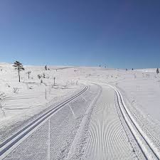 Hiihtoretki Saariselälle Hiihtoretki Saariselälle