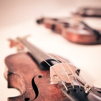 Jouluisia sävelmiä wieniläisklassikoilla höystettynä Jouluisia sävelmiä wieniläisklassikoilla höystettynä