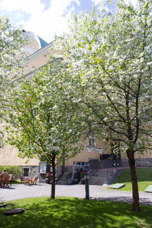 Kuvassa Oulun tuomiokirkon kryptan edusta kesällä.