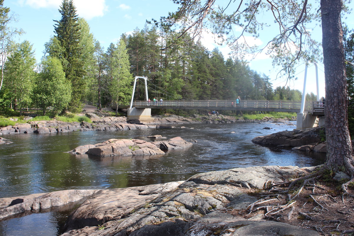 Kuva Koitelinkoskelta kesäkuussa 2018