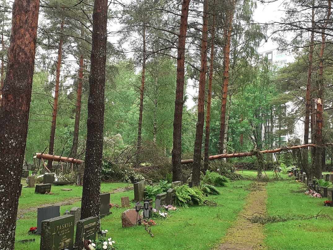 Kaatuneita puita Intiön hautausmaalla