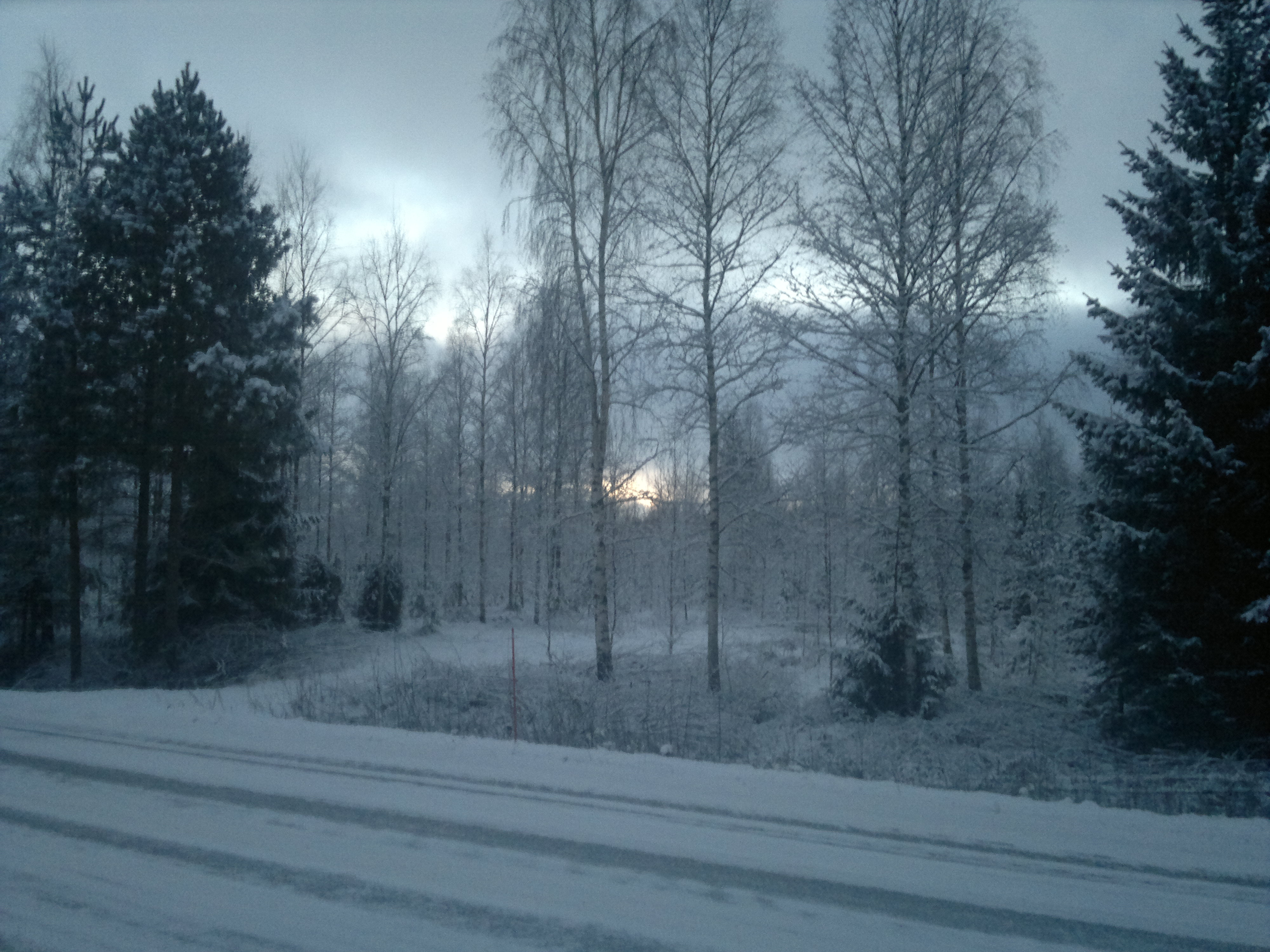 Joulun sininen hetki