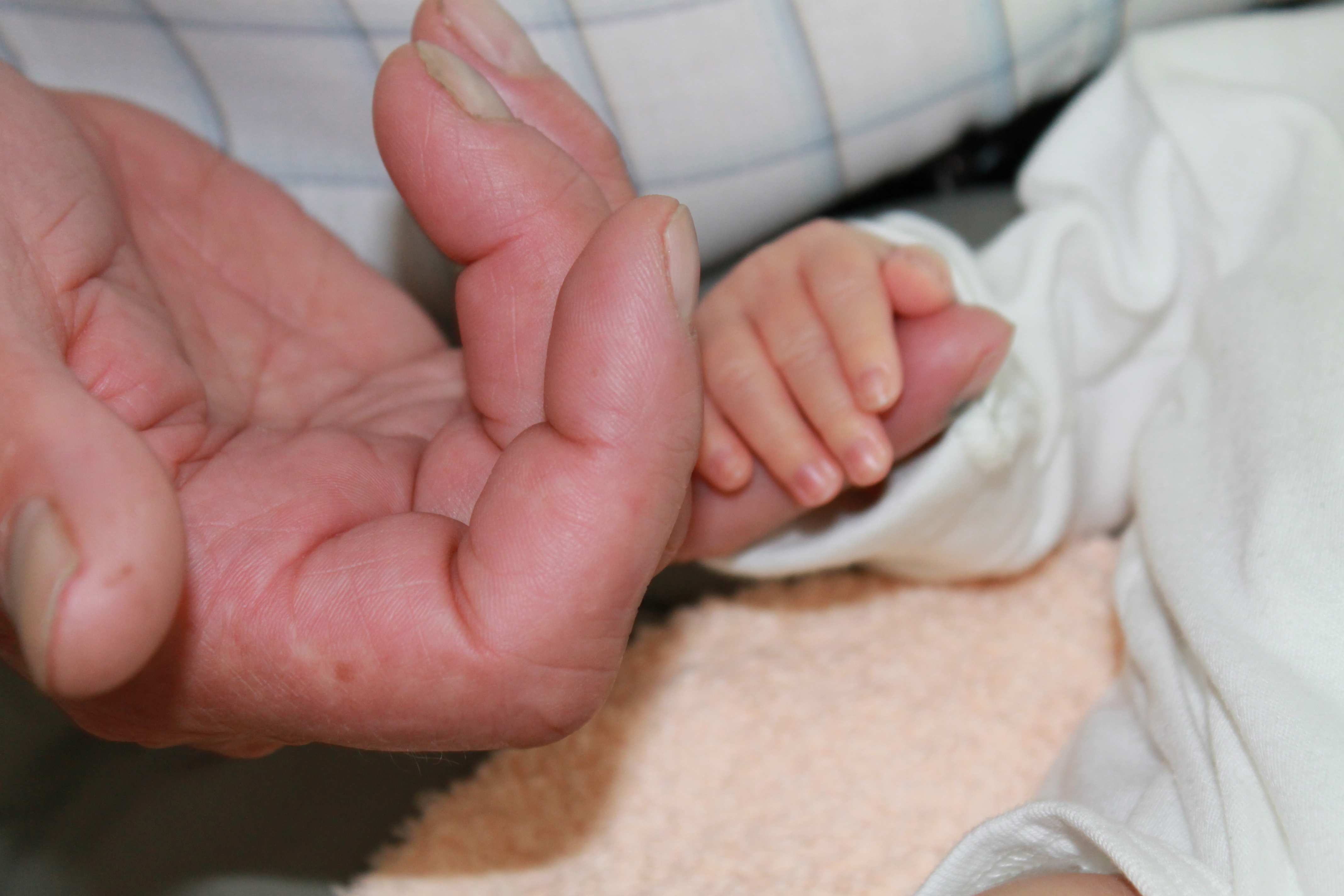 Kuvassa vanhan miehen ja vauvan kädet. Vauva puristaa miehen pikkusormea.