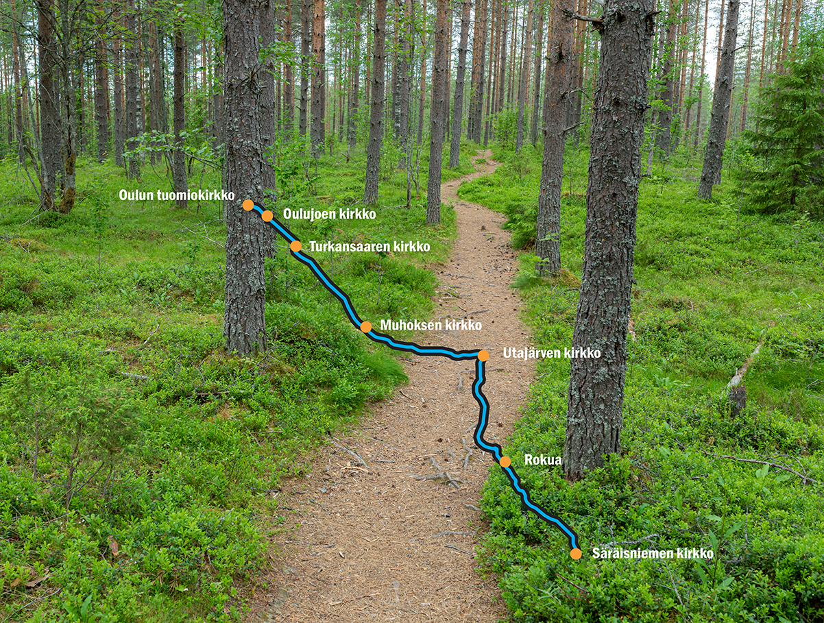 Oulujoen pyhiinvaellusreitin avajaiset Oulujoen pyhiinvaelluksen kuvitettu reitti, metsäinen kuva ja kohteet.