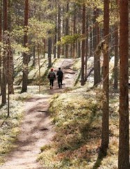 Tuiran seurakunnan eläkeläisten leiri 8.-10.9.2025 Mäntymetsää, jossa polulla kulkee kaksi ihmishahmoa
