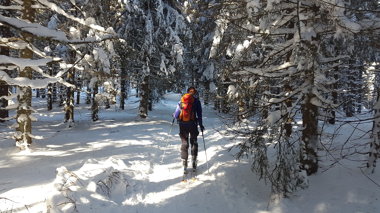 hiihtäjä lumisessa metsässä