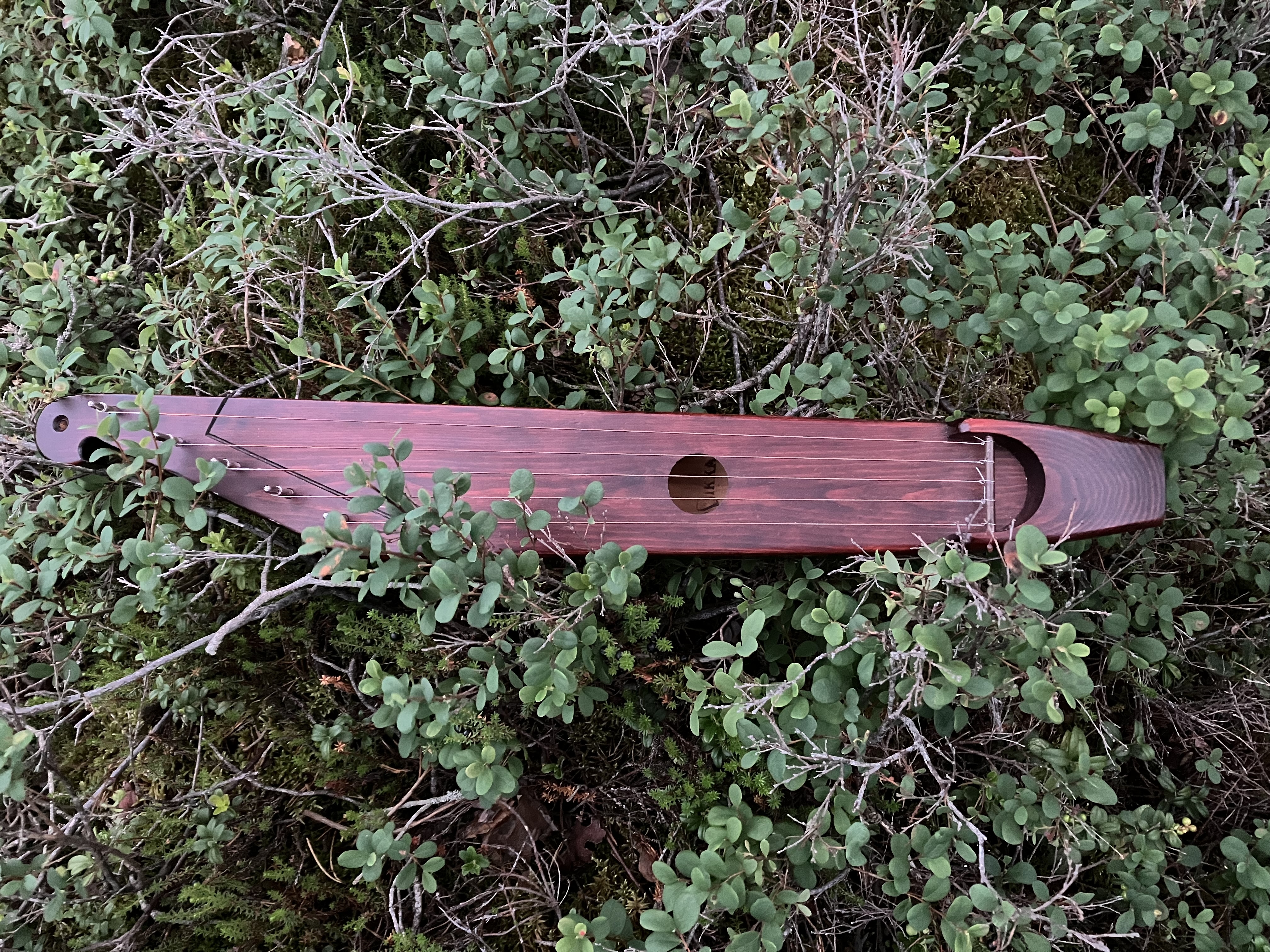Meditatiivinen kantelekonsertti Kuvassa viisikielinen kantele metsän varvikossa.